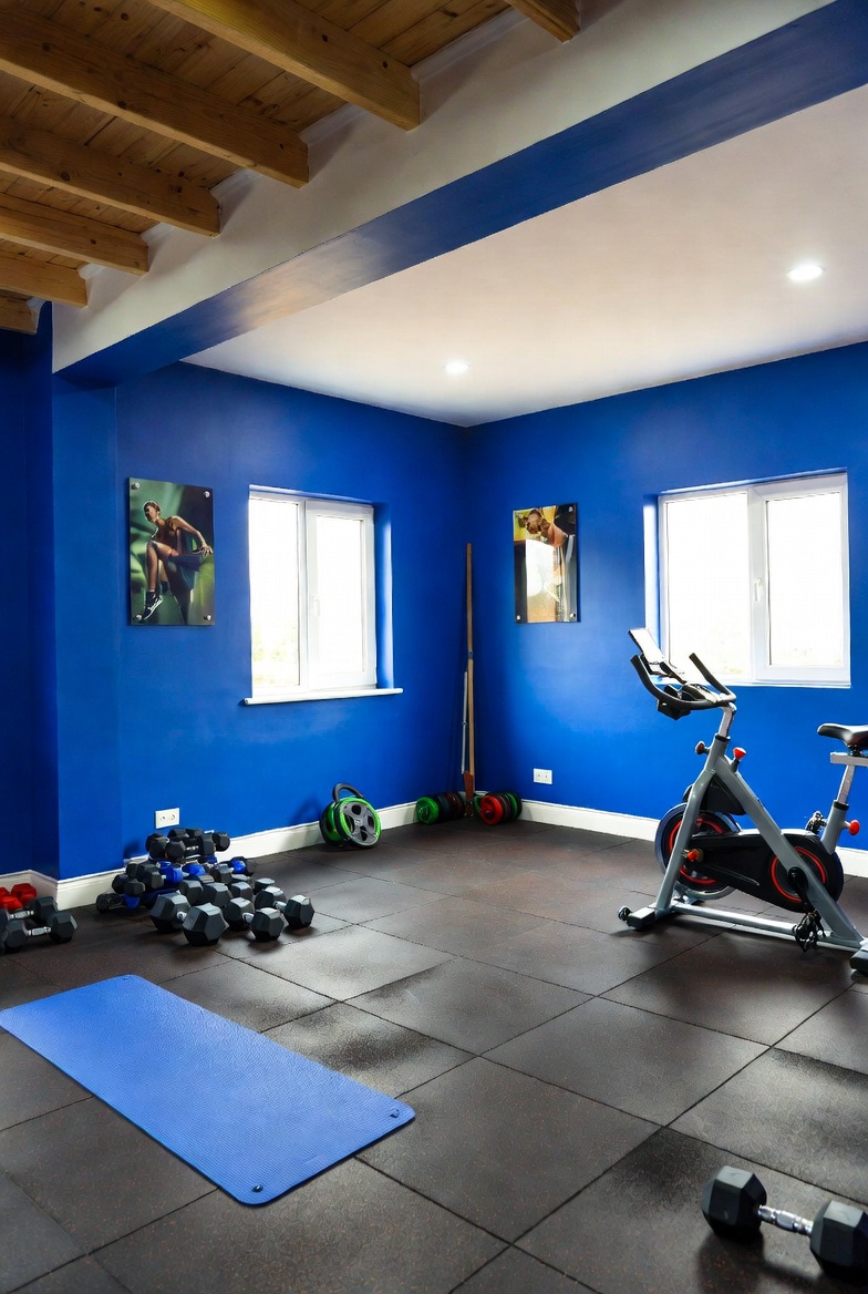 best paint for Nigerian home gyms