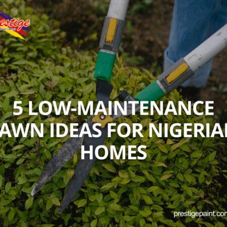 low maintenance lawn ideas in Nigeria