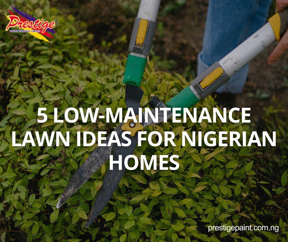 low maintenance lawn ideas in Nigeria