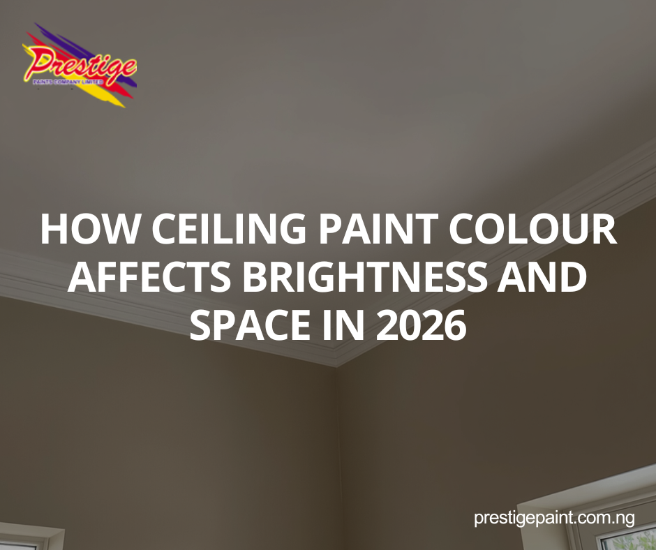 ceiling paint colour brightness space 2026